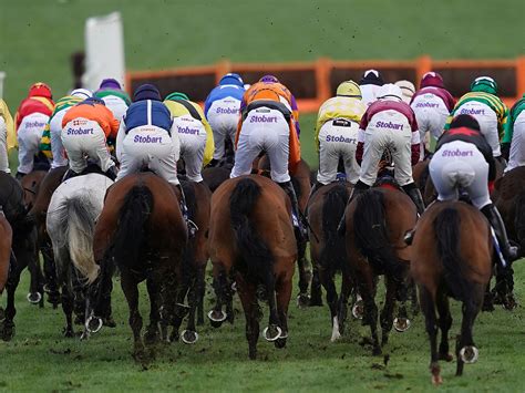 reddit horse racing uk.